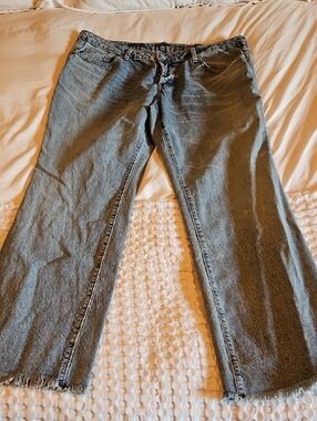 wild fable Flare Jeans in Light Blue Wash
